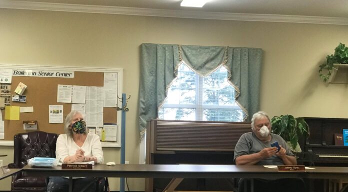 Baileyton talks tornado siren, town park