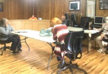 Vinemont council considers pavilions, food pantry, summer ball