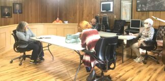Vinemont council considers pavilions, food pantry, summer ball