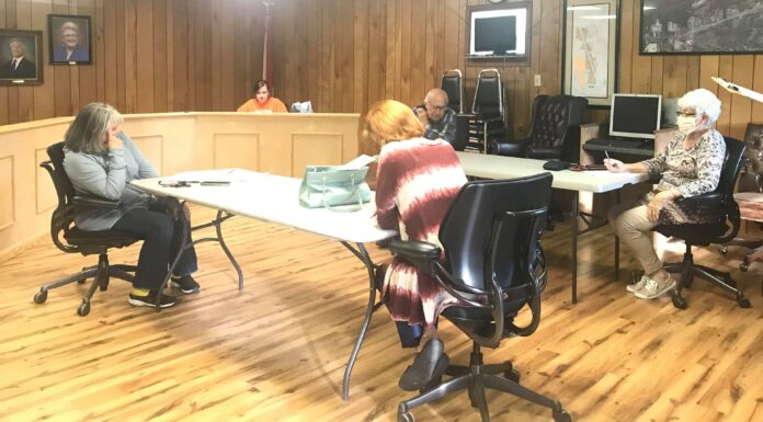 Vinemont council considers pavilions, food pantry, summer ball