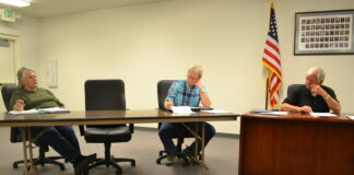 Holly Pond Town Council hears speeding issue from resident