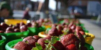 Supporting local growers