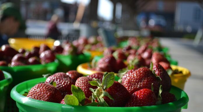 Supporting local growers