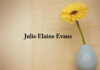 Obituary: Julie Elaine Evans