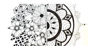 ADMH hosts 15th annual Capitol Showcase