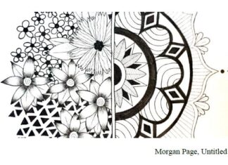 ADMH hosts 15th annual Capitol Showcase