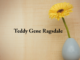 Obituary: Teddy Gene Ragsdale