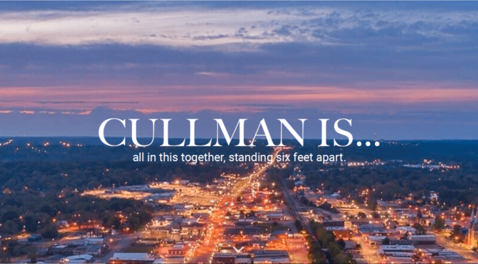 CEDA website to support local businesses goes live