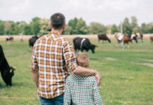 Alabama farmers now eligible for Coronavirus Food Assistance Program