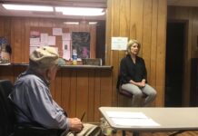 Vinemont council considers community improvements