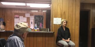 Vinemont council considers community improvements