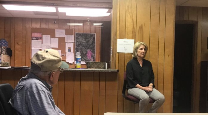 Vinemont council considers community improvements