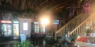 More than meets the eye: The Man Cave Market is a nursery, and so much more