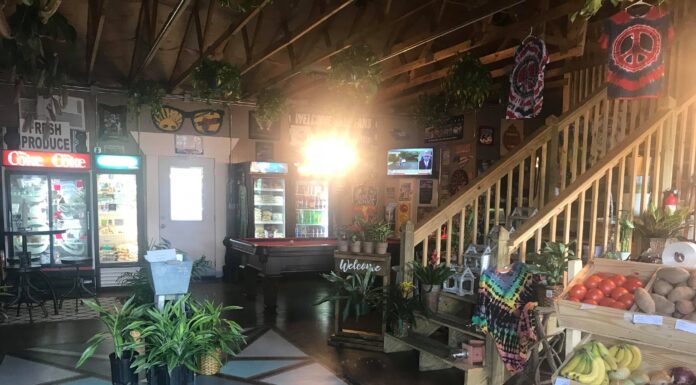 More than meets the eye: The Man Cave Market is a nursery, and so much more