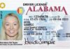 ALEA resumes normal driver’s license operations