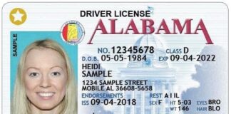 ALEA resumes normal driver’s license operations