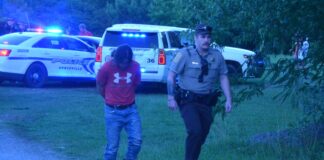 CCSO: Pursuit ends in Holly Pond, 2 arrested