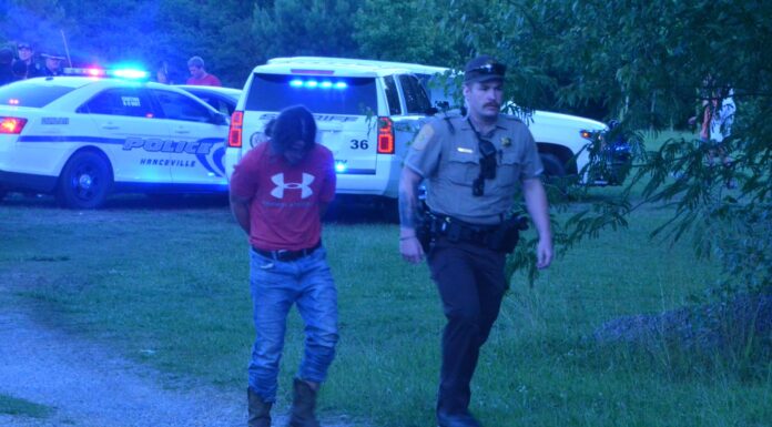 CCSO: Pursuit ends in Holly Pond, 2 arrested