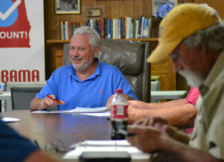 Fairview council appoints new councilwoman, talks traffic lights, fireworks