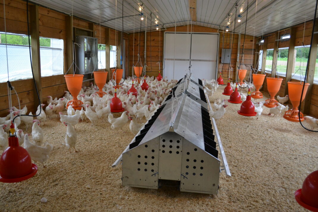 Foundry Farm benefits from new hen house The Cullman Tribune
