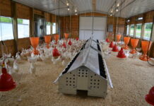 Foundry Farm benefits from new hen house