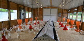 Foundry Farm benefits from new hen house