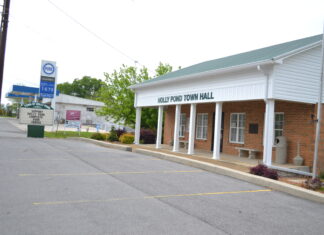 Holly Pond council talks new senior center, census initiative, reopening library
