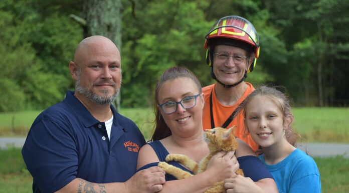 ‘Cat Man Do’ to the rescue!