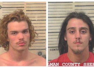 Update: Pursuit ends in Holly Pond, 2 arrested