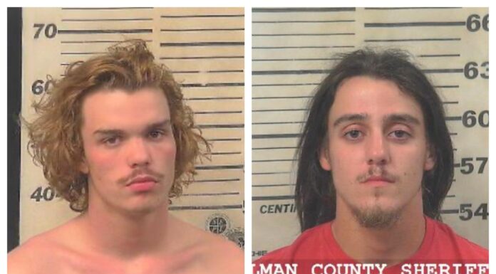 Update: Pursuit ends in Holly Pond, 2 arrested