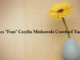 Obituary: Frances “Fran” Cecelia Minkowski Crawford Tucker
