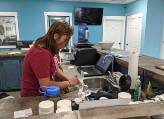 Pool builder going strong during pandemic