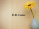 Obituary: O.D. Carter