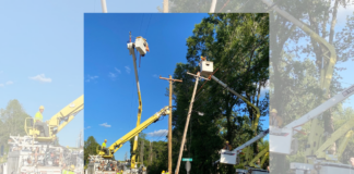 Alabama Lineman Appreciation Day: What to know about the job and the people who do it