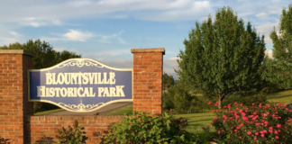 Blount County historical group says ‘No’ to proposed relocation of Birmingham Confederate monument