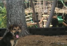 Explore a Local Park: Culpepper Park