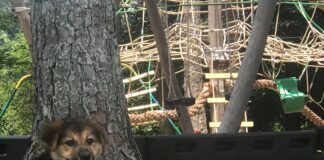 Explore a Local Park: Culpepper Park