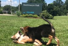 Explore: Wide open spaces at Stiefelmeyer Park