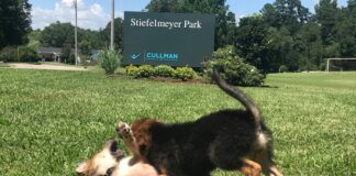 Explore: Wide open spaces at Stiefelmeyer Park