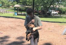 Explore: Zip over to Carroll Acres Park