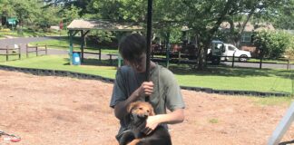 Explore: Zip over to Carroll Acres Park