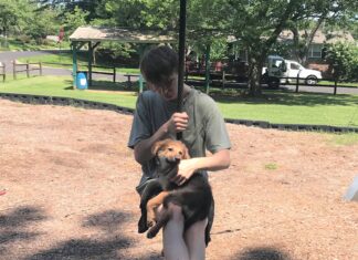 Explore: Zip over to Carroll Acres Park