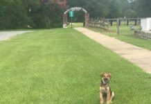 Explore: South Vinemont Trail a world of possibilities