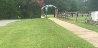 Explore: South Vinemont Trail a world of possibilities