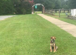 Explore: South Vinemont Trail a world of possibilities