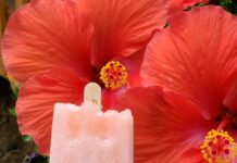 Just in time for 4th of July- the watermelon pop