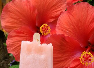 Just in time for 4th of July- the watermelon pop