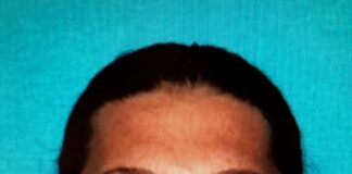 (Update) Escaped Hanceville work-release inmate back in custody