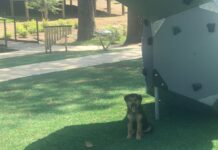 Explore: Art and functionality at Cullman’s Art Park