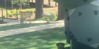 Explore: Art and functionality at Cullman’s Art Park